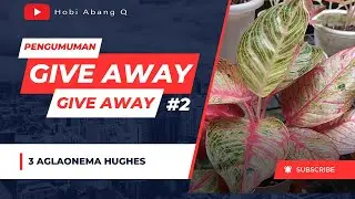 Pengumuman Pemenang Give Away Part 2 dan Mengenal Id