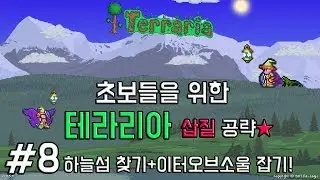 [테라리아 공략] 초보들을 위한 공략(는 뻥:혼자 놀기) #8 중력포션으로 하늘섬 찾기+이터오브소울 잡기