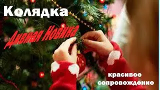 Рождественская Песня | Радуйтеся усі люди | Дивная Новина | Красивое сопровождение