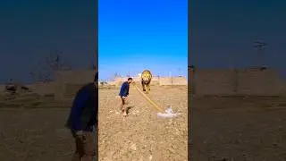 Vfx magic funny video water jumping long neck lion attack 😱🙊#vfx #magic #funny #comedy #shortvideo