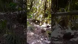 yang pernah kesini pasti tau jalur ini