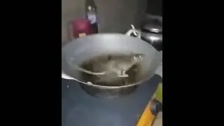 Cursed mouse
