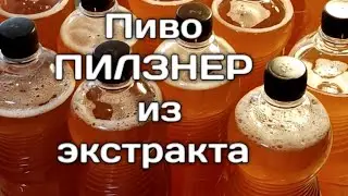 Пиво 