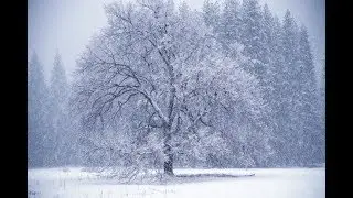 Первый снег
