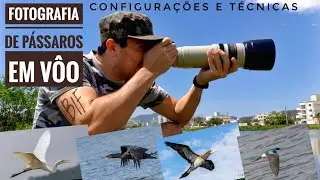 Fotografia de Aves em Vôo 
