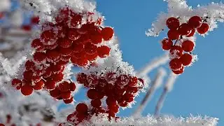 Музыка Для  Души БЕЛАЯ ЗИМА  Музыка  Сергей Грищук 