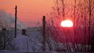 Будни в деревне #30 /Морозное утро/