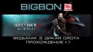 Ведьмак 3 : Дикая охота (The Witcher 3: Wild Hunt) # Прохождение 1