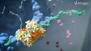 RNAi Therapeutics - How this New Class of Medicines Works