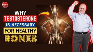 Testosterone and Bone Health: How Testosterone Affects Your Skeleton System