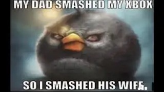 Meme Compilation