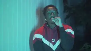 King Shellz - 