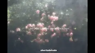 MEAN GIRLS/GWEN STEFANI(LETRA)chicas pesadasxd