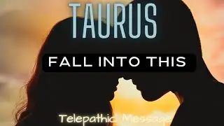 TAURUS📱💕| THIS ONE…. IS A KEEPER🍁🍯🏝️