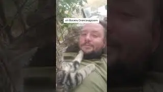 Український воїн та кіт Василь Олександрович відпочивають після безсонної ночі