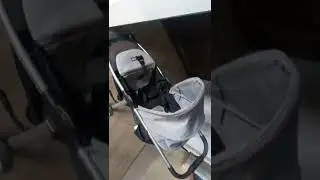 Evde Bebek Arabasından Çıkan Akrep