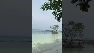 Relaxing Camudmud Samal beach  resort #shorts ##viral #beach