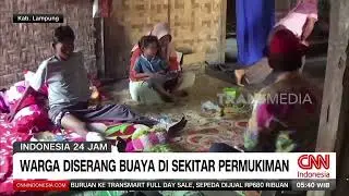 Warga Diserang Buaya Di Sekitar Permukiman | REDAKSI PAGI (26/08/24)