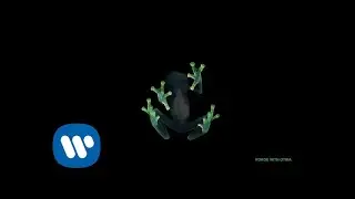 Dog Blood with Otira - KOKOE [Official Audio]