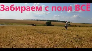 Короткий коп на гороховом поле