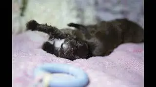 Малыши 💝💝💝