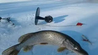 ПОПАЛ НА КЛЁВ ЩУКИ!!! За уловом на дальняк. Рыбалка на жерлицы удалась! ЗАКРЫТИЕ ЗИМНЕГО СЕЗОНА.