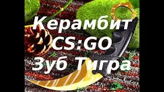 Обзор керамбита CS:GO Зуб Тигра