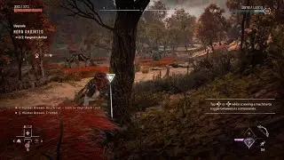 Horizon Forbidden West