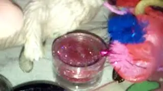 Готовятся котики к новому году