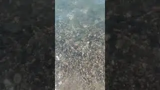 Релакс 🙂