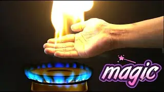 Easy Science Experiments to Do at Home