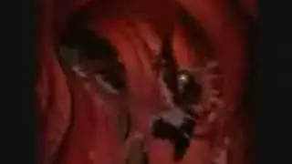 (AMV) Fievel in 