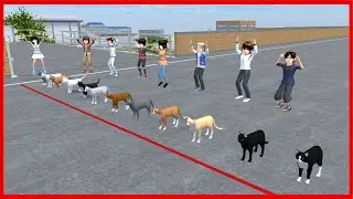 Which Cat Will Win? || SAKURA School Simulator