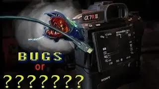Bugs OR Intentional ??? - Sony a7R III Face Priority AF in 4K FLAWS