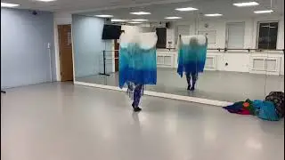 Beginner Belly Dance Veil Choreography