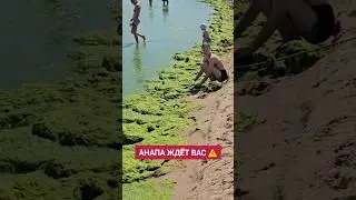 Изумрудное море Анапы 🤣 ждёт Вас! Анапа 2024 