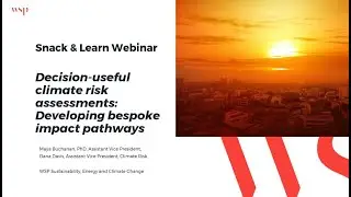 Decision-Useful Climate Risk Assessments: Developing Bespoke Impact Pathways
