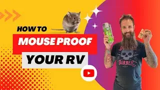 How To Mouse Proof Your RV 🐁