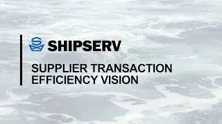 Supplier Transaction Efficiency Vision