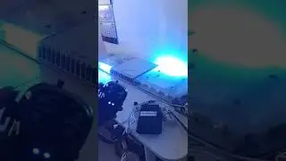 СГУ Элина Ермак