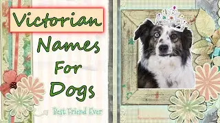 50 Victorian Era Names for Dogs