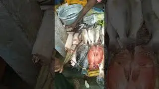 kanyakumari Nagercoil fish market 🐟 🦞 🦐🐠🦐