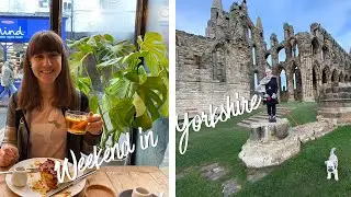 VLOG: York & Yorkshire in a Weekend (Fountains Abbey, Whitby, and York)