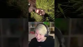 Shrek Found In Sons Of The Forest
