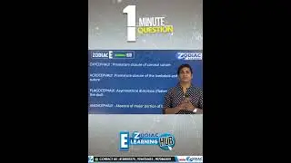 Our New Strategic Plan......E-Learning HUB.....Zodiac Academy.... #zodiacacademy #education #shorts