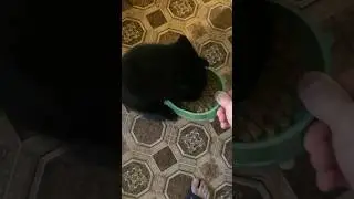 Аппетит бешеный жрат жрат ))///)) ням ням