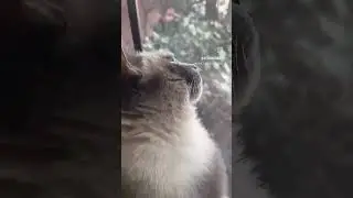 MS SOPHIA ON BUG PATROL  