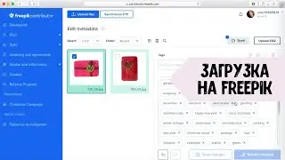 Как загружать векторные иллюстрации на Freepik. Два способа: через сайт и через FTP