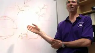 Eric Gaze on Mathematics in Life