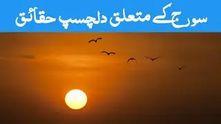FACTS about sun that will amaze you ll fun facts with zaini